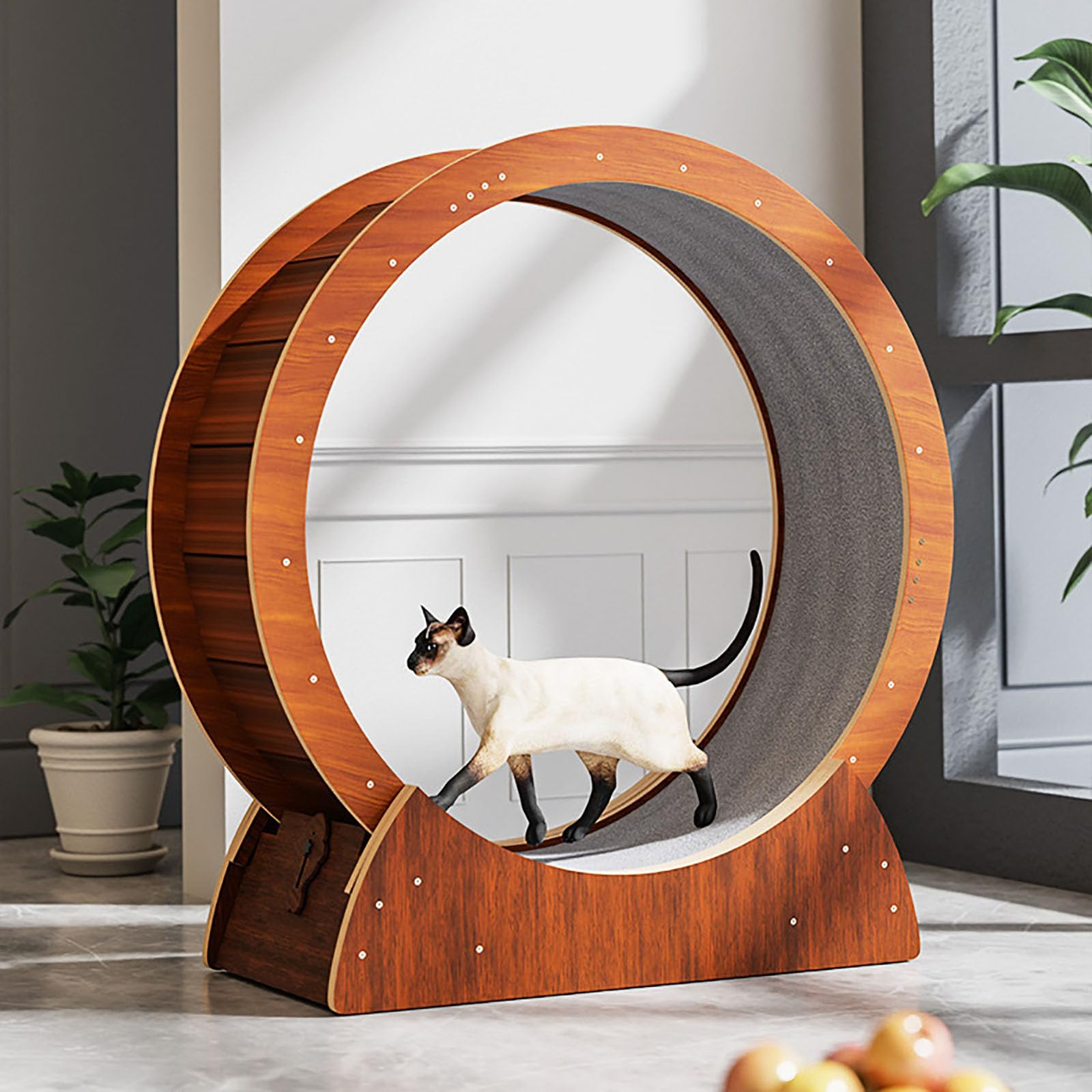 Spin into Fitness: Uncovering the Top 5 Cat Exercise Wheels for Your Feline Friend!